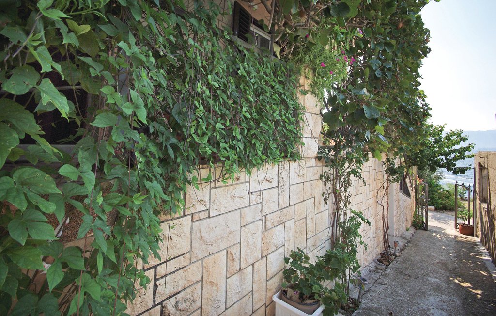 Ferienwohnung - Hvar-Sucuraj , Kroatien - CDH571 8