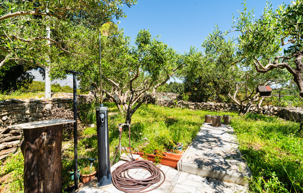 Ferienwohnung - Hvar-Sucuraj , Kroatien - CDH603 8