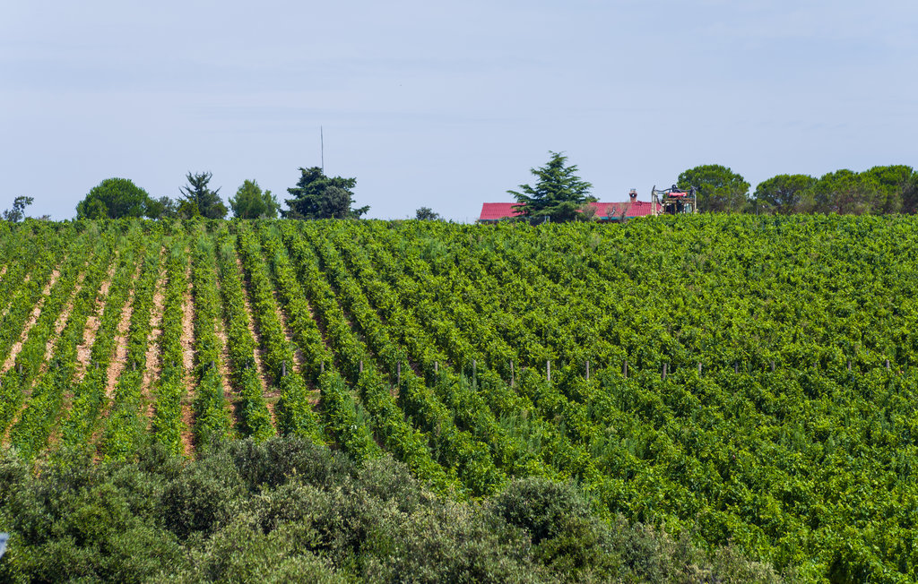 Ferieleilighet - Zadar - Petrcane , Kroatia - CDI103 11