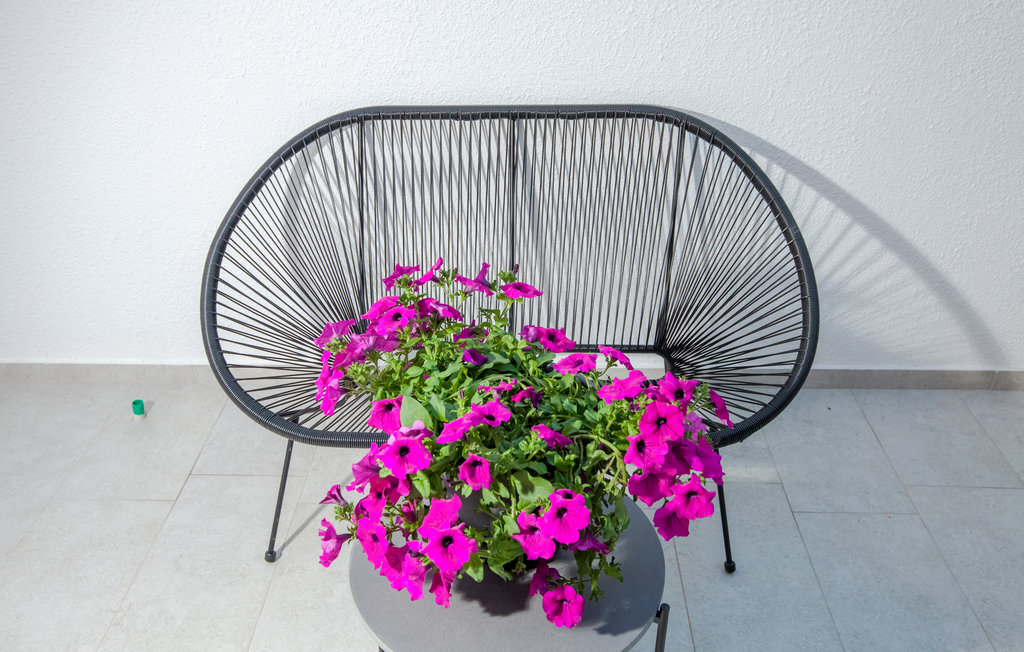 Feriehus - Starigrad Paklenica - Seline , Kroatia - CDI292 14