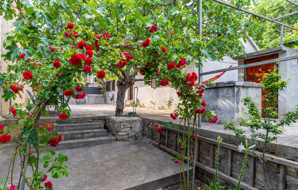 Semesterhus - Zadar-Pridraga , Kroatien - CDI424 10