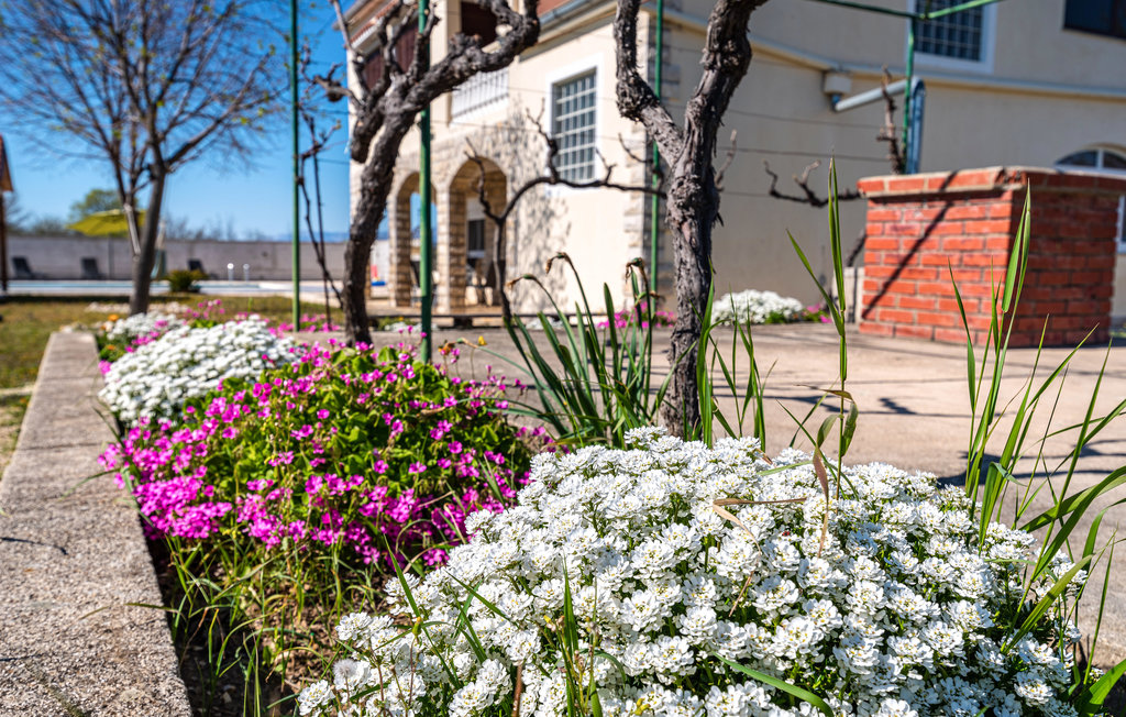 Feriehuse - Zadar - Paljuv , Kroatien - CDI045 21
