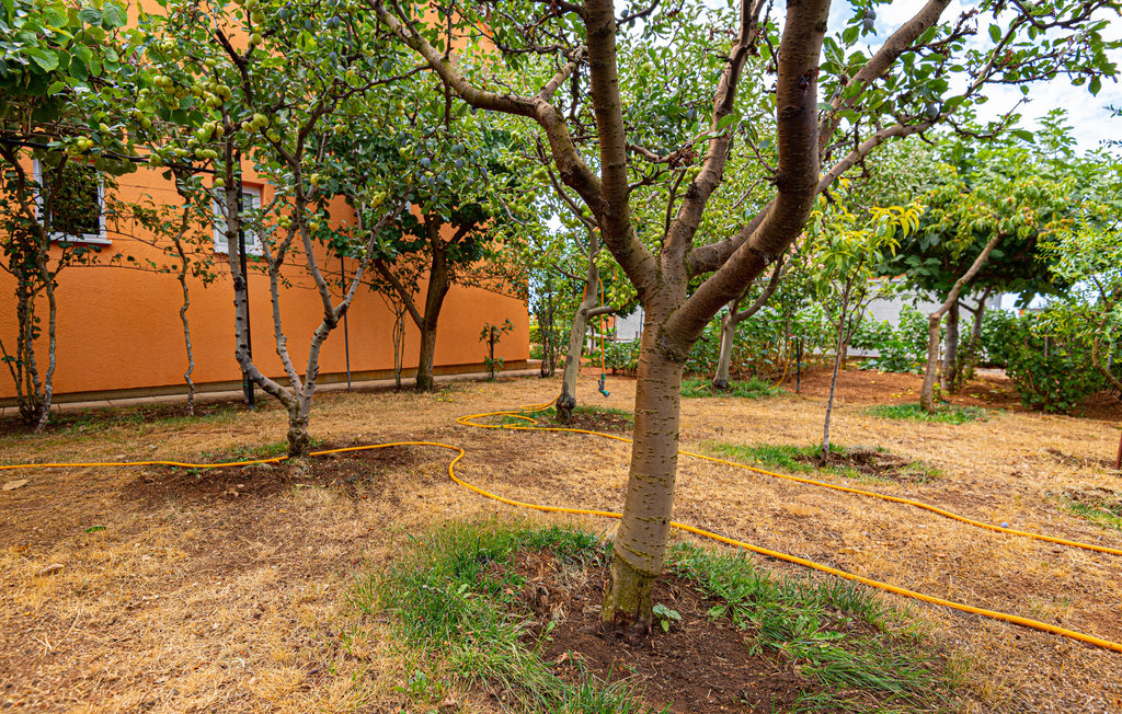 Lejlighed - Vodice , Kroatien - CDJ151 16