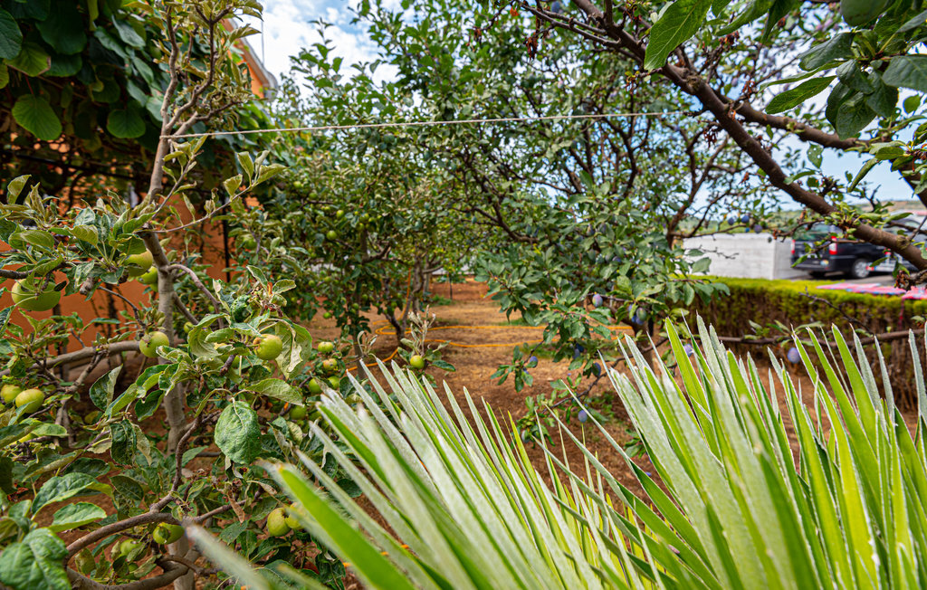 Lejlighed - Vodice , Kroatien - CDJ151 13