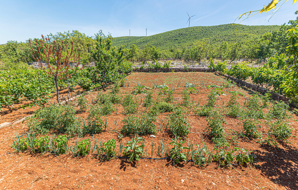 Ferienhaus - Sibenik-Mravnica , Kroatien - CDJ117 17