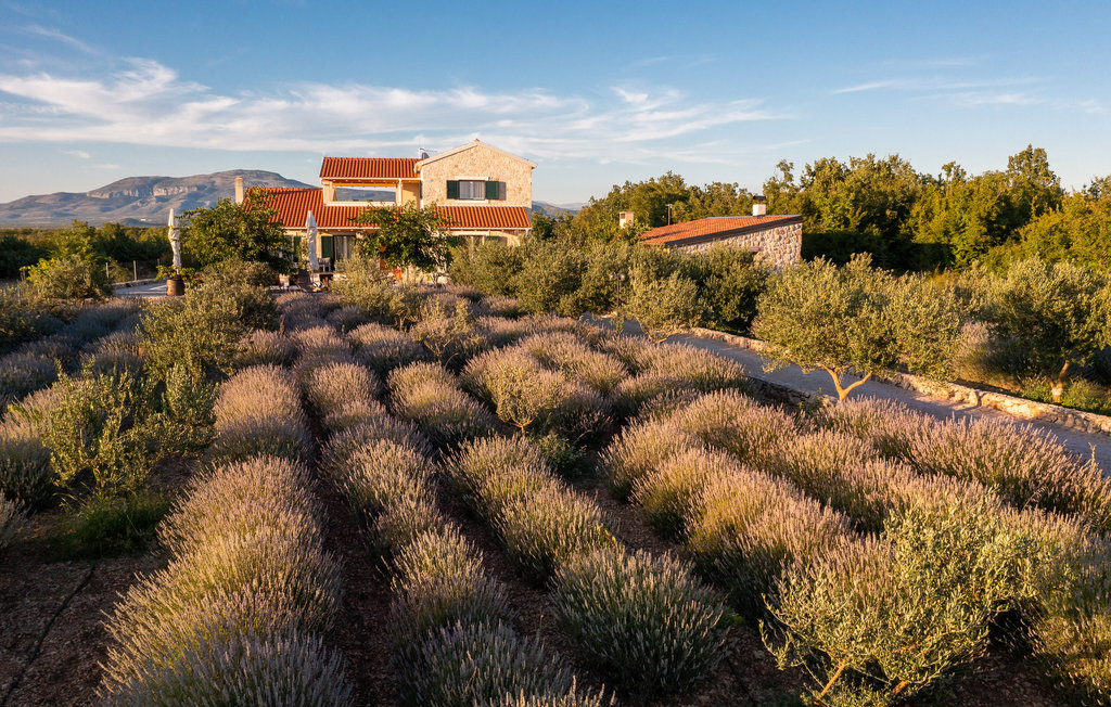 Ferienhaus - Sibenik-Pakovo Selo , Kroatien - CDJ649 20