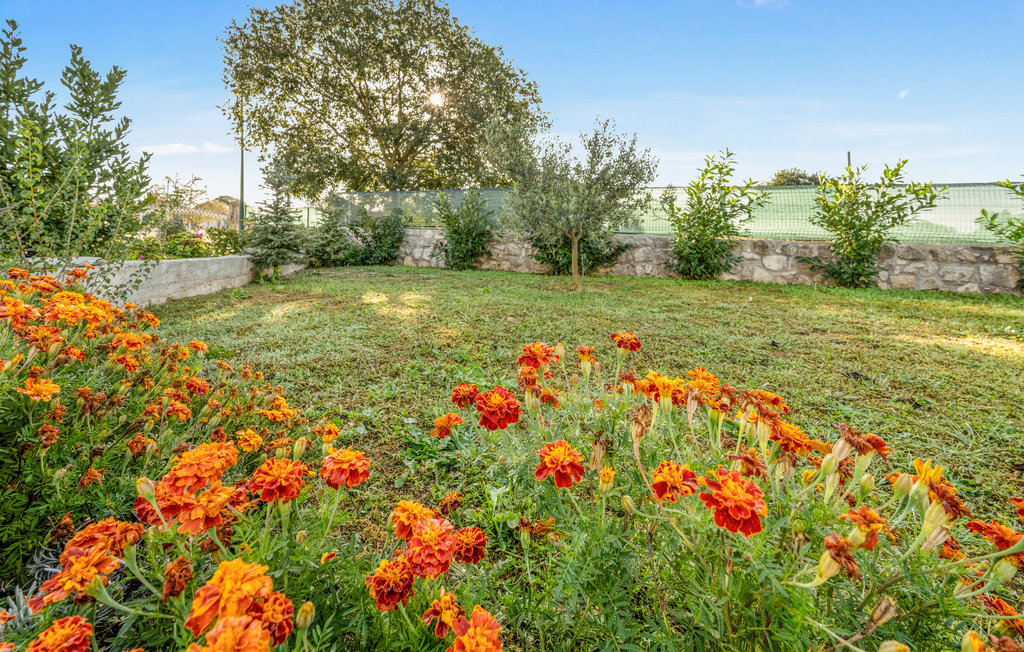 Feriehus - Sibenik-Unesic , Kroatia - CDJ743 14