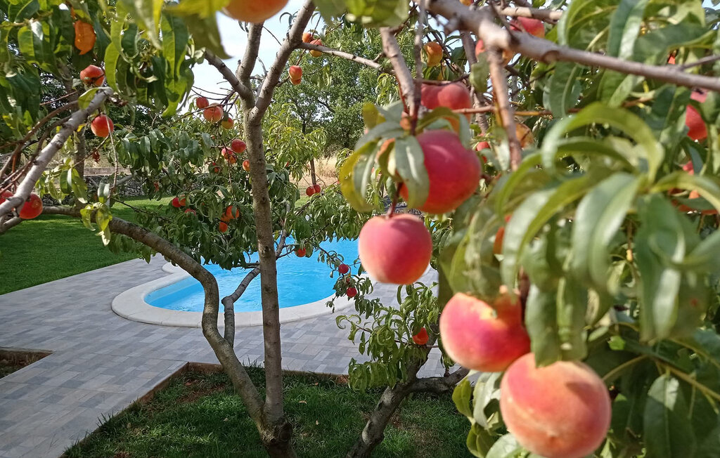 Ferienhaus - Sibenik-Konjevrate , Kroatien - CDJ150 20