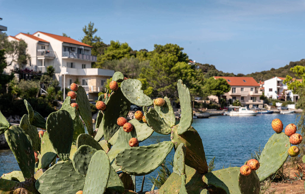 Feriehus - Lastovo-Pasadur , Kroatia - CDL001 49