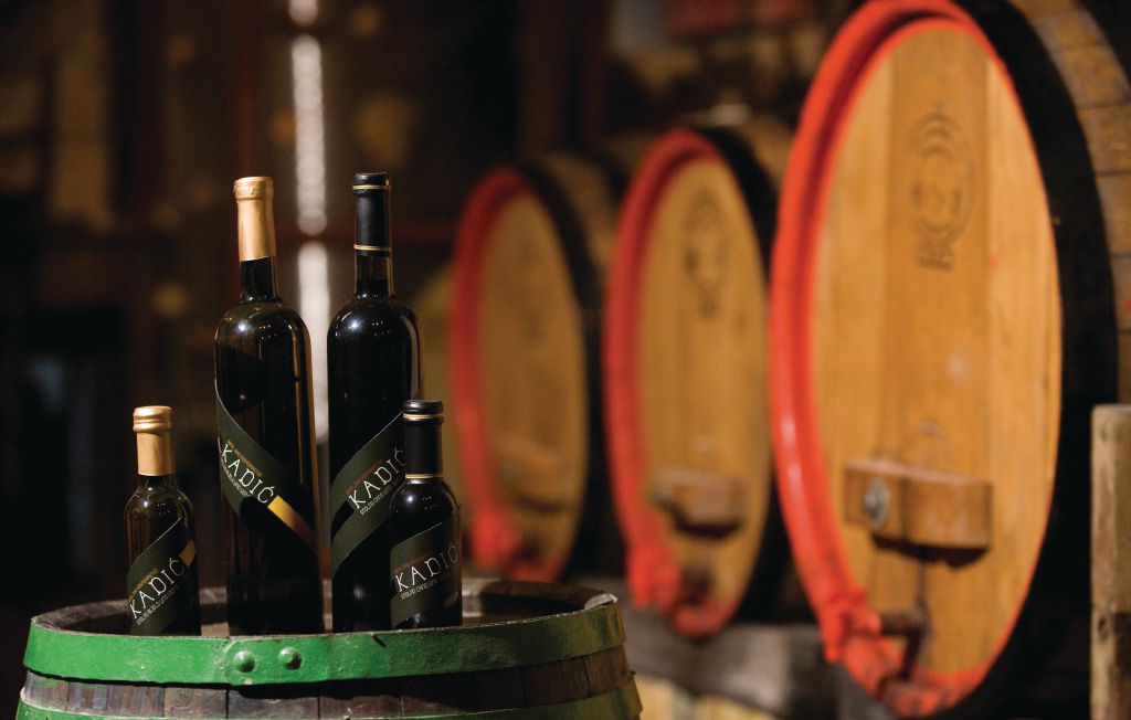 Feriehus - Omis-Dugi Rat , Kroatia - CDM828 22