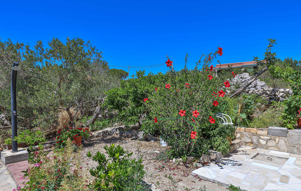 Semesterhus - Drvenik Mali , Kroatien - CDM609 8