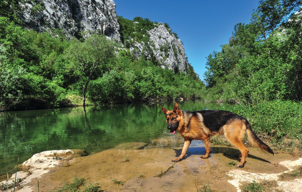 Semesterhus - Makarska-Sestanovac , Kroatien - CDC101 48