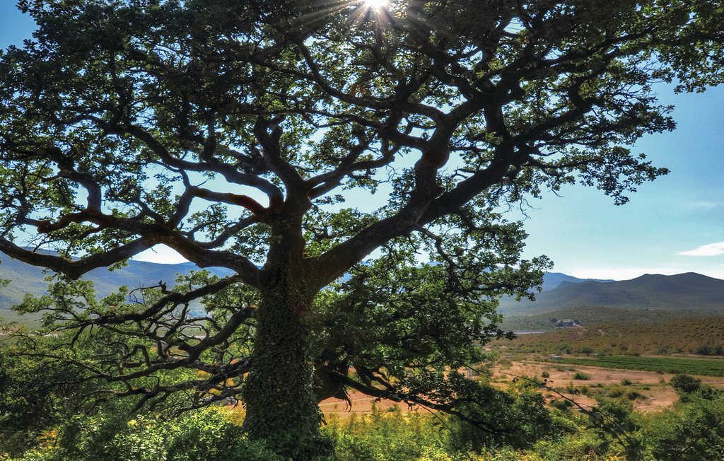 Lejlighed - Split-Ugljane , Kroatien - CDE223 32