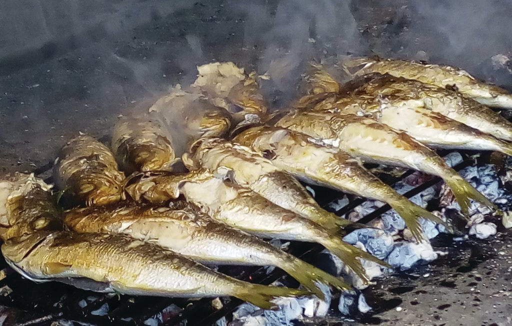 Ferienhaus - Solta-Gornje Selo , Kroatien - CDO128 33