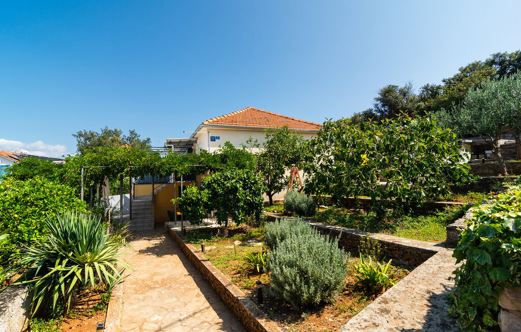 Ferieleilighet - Solta - Necujam , Kroatia - CDO236 7