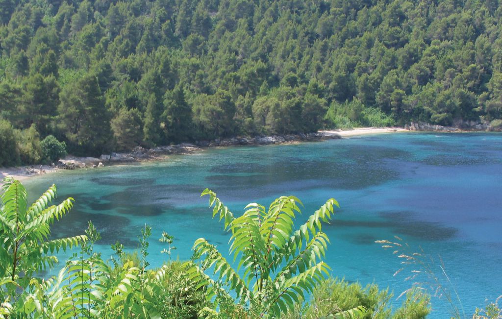 Feriehus - Peljesac-Zuljana , Kroatia - CDP112 41