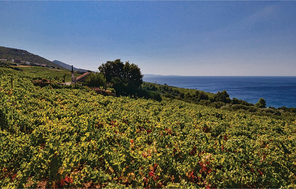 Feriehus - Peljesac-Postup , Kroatia - CDP253 31