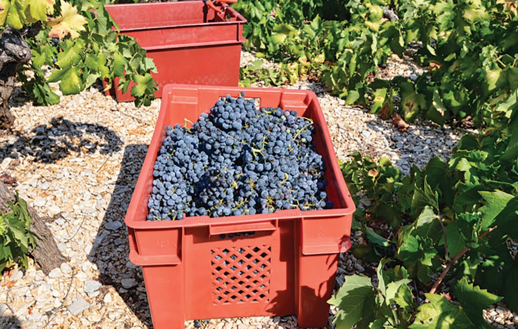 Feriehus - Peljesac-Postup , Kroatia - CDP253 29