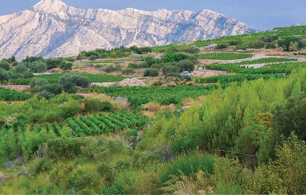 Feriehus - Peljesac-Postup , Kroatia - CDP253 32