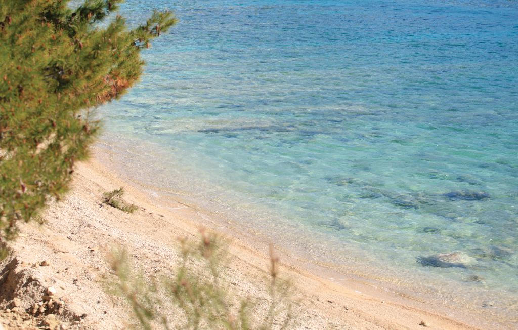 Ferienhaus - Peljesac-Viganj , Kroatien - CDP240 40