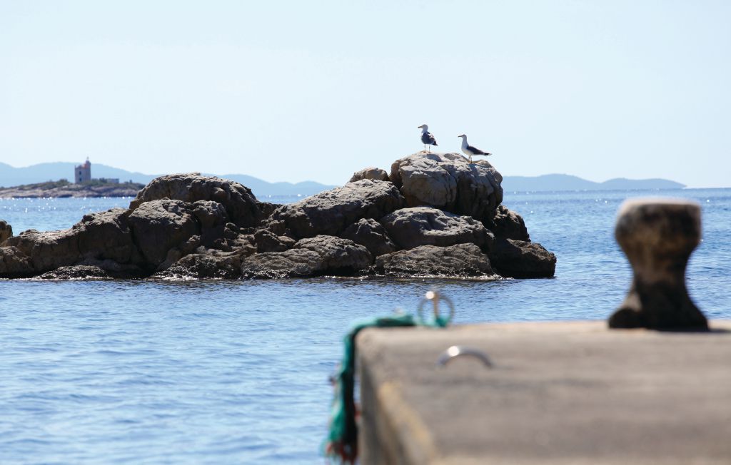 Ferienhaus - Peljesac-Viganj , Kroatien - CDP240 42