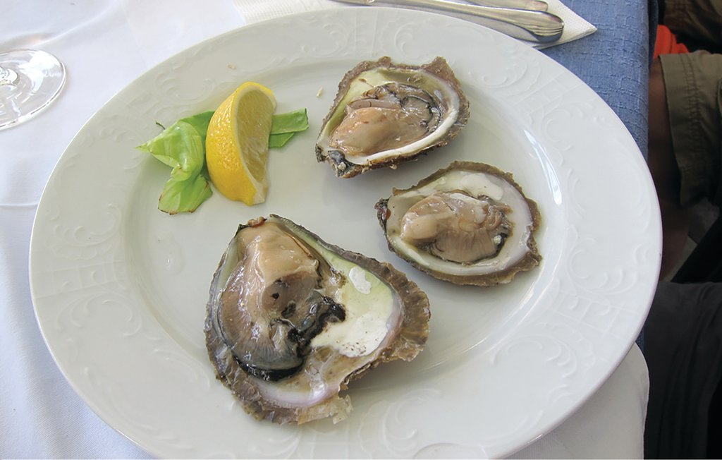 Ferienhaus - Peljesac-Ston , Kroatien - CDP186 34