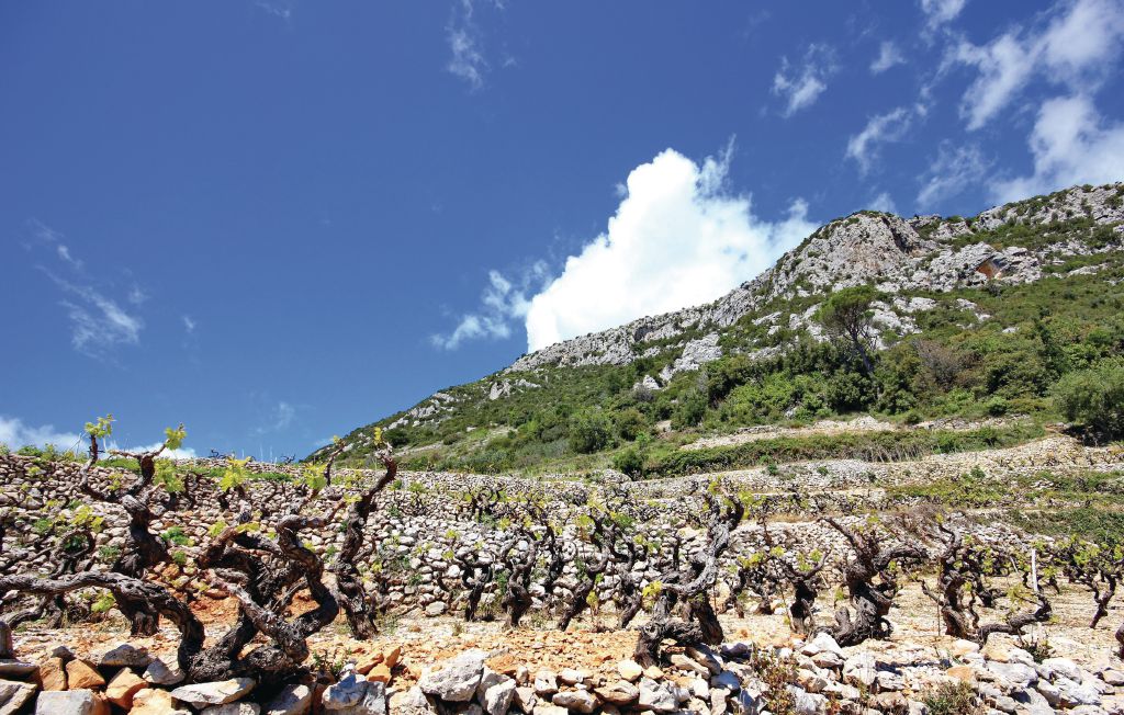 Ferienhaus - Peljesac-Podobuce , Kroatien - CDP114 25