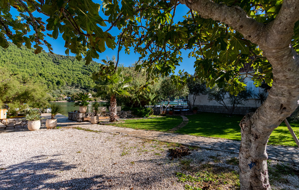 Ferieleilighet - Peljesac-Ston , Kroatia - CDP560 12