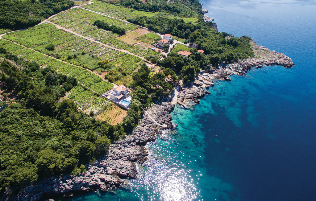 Ferienhaus - Peljesac-Dingac , Kroatien - CDP350 15