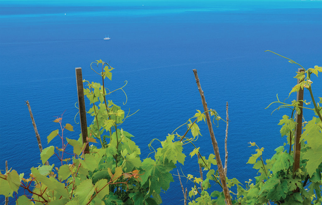 Ferienwohnung - Peljesac-Zuljana , Kroatien - CDP419 16
