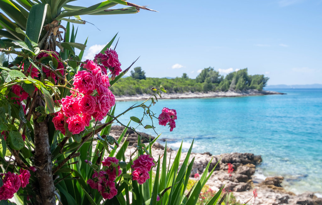 Feriehuse - Peljesac-Loviste , Kroatien - CDP555 25