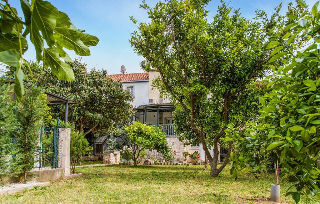 Feriehus - Peljesac-Trstenik , Kroatia - CDP507 16