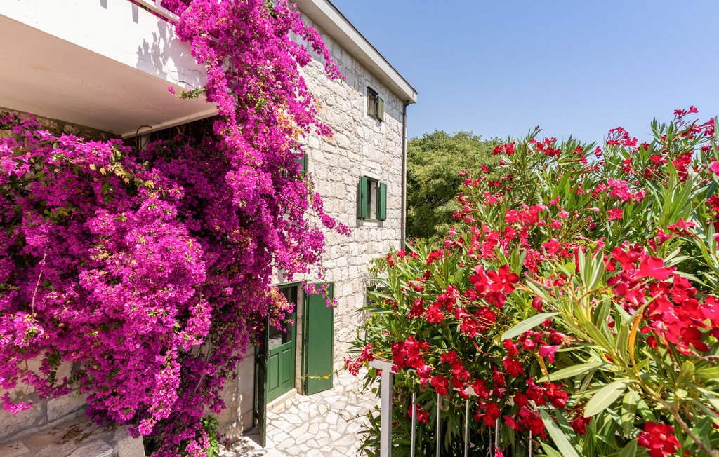 Ferienhaus - Ploce-Duboka , Kroatien - CDR525 17