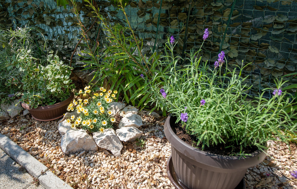 Ferienwohnung - Ploce , Kroatien - CDR507 11