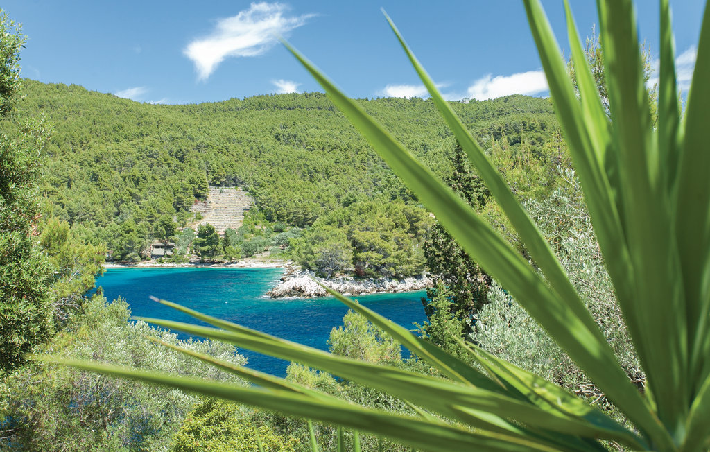 Feriehuse - Korcula-Poplat , Kroatien - CDS392 23