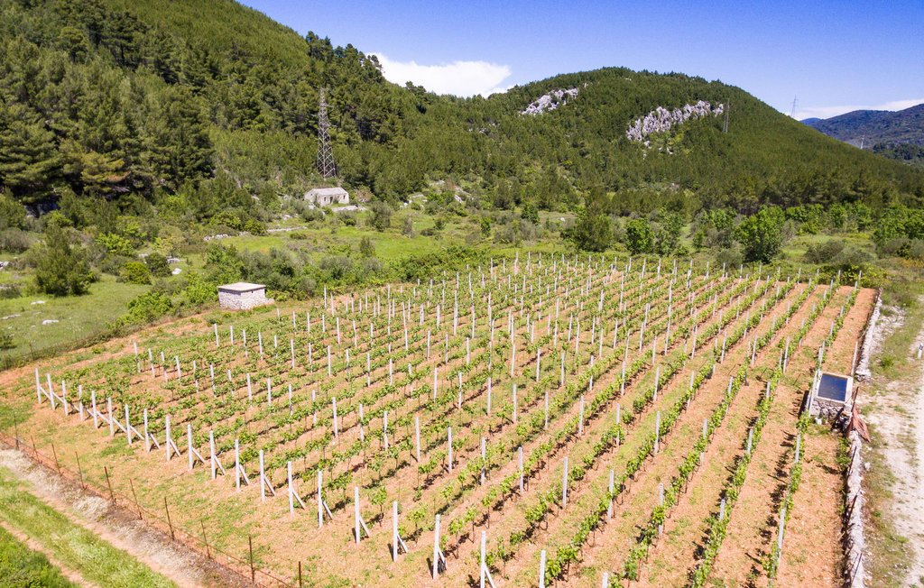 Feriehuse - Korcula-Prigradica , Kroatien - CDS194 43
