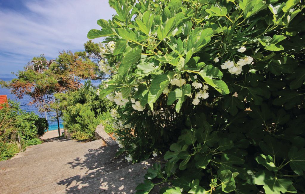 Ferienwohnung - Korcula-Prigradica , Kroatien - CDS497 12