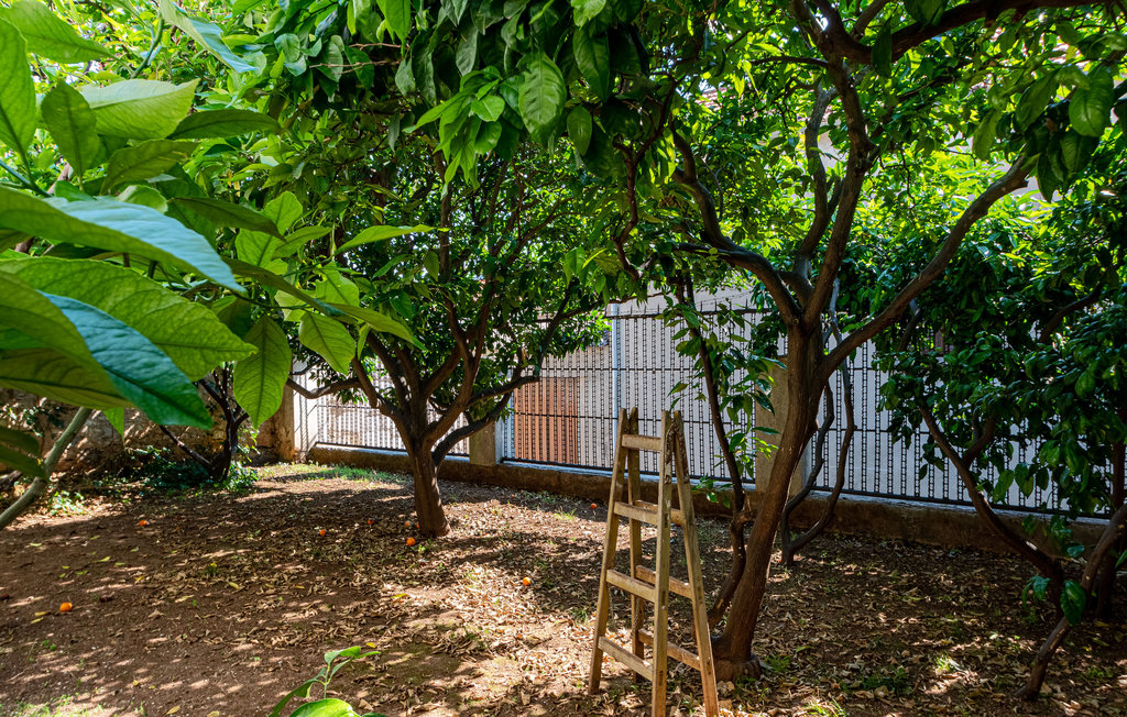 Ferienhaus - Korcula-Vela Luka , Kroatien - CDS070 15