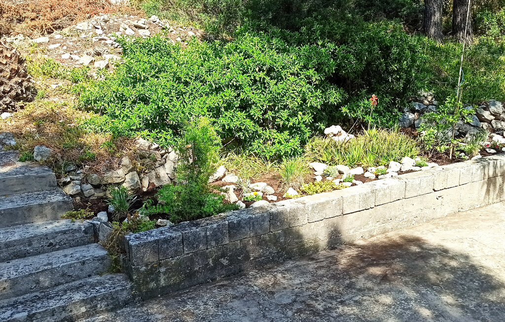 Ferienwohnung - Korcula-Lumbarda , Kroatien - CDS532 13