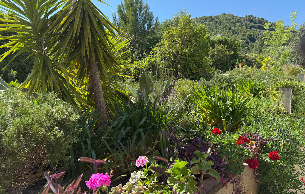 Ferienwohnung - Korcula-Grscica , Kroatien - CDS717 13