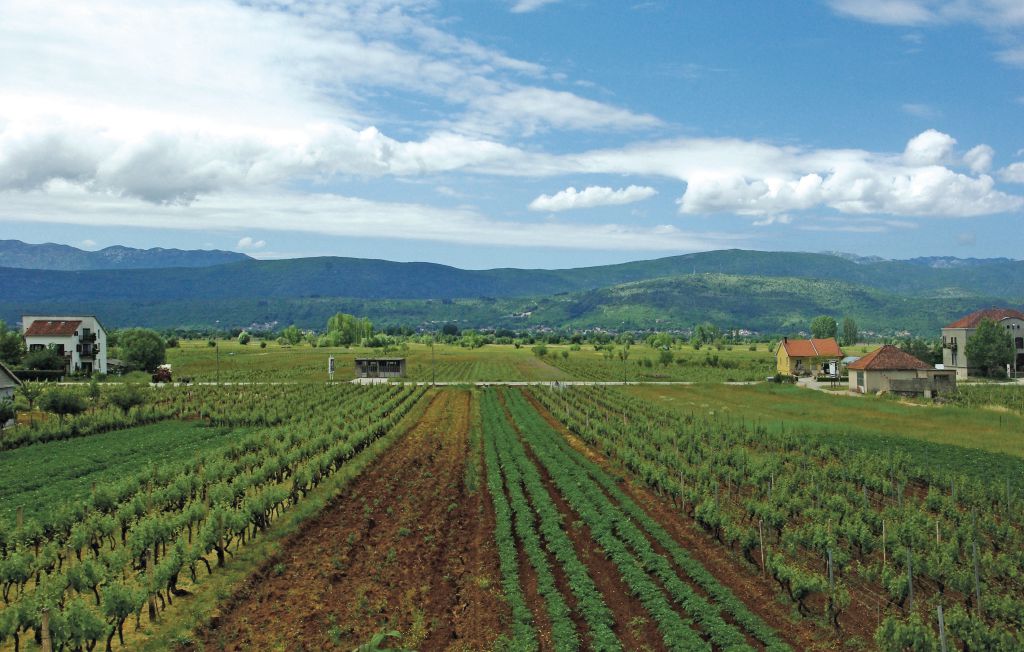 Feriehuse - Makarska-Vinjani Donji , Kroatien - CDT394 18