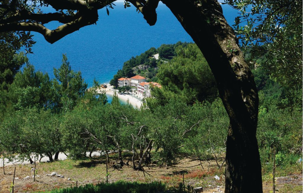 Feriehuse - Makarska-Podgora , Kroatien - CDT874 17