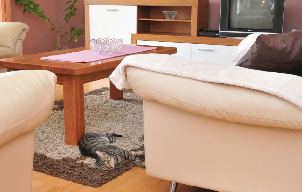 Ferienhaus - Split-Trilj , Kroatien - CDT751 24