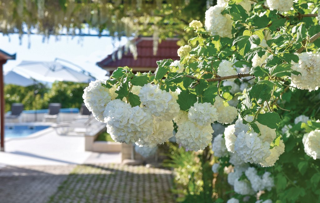 Semesterhus - Split-Bajagic , Kroatien - CDT962 18