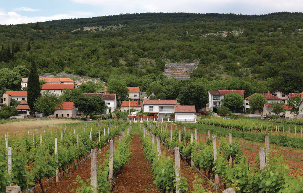 Feriehuse - Makarska-Vinjani Donji , Kroatien - CDT394 13