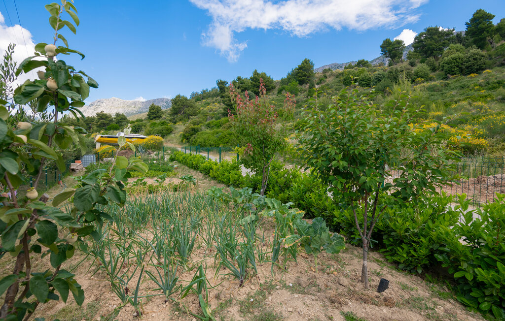 Feriehuse - Trogir-Kastel Sucurac , Kroatien - CDT688 19