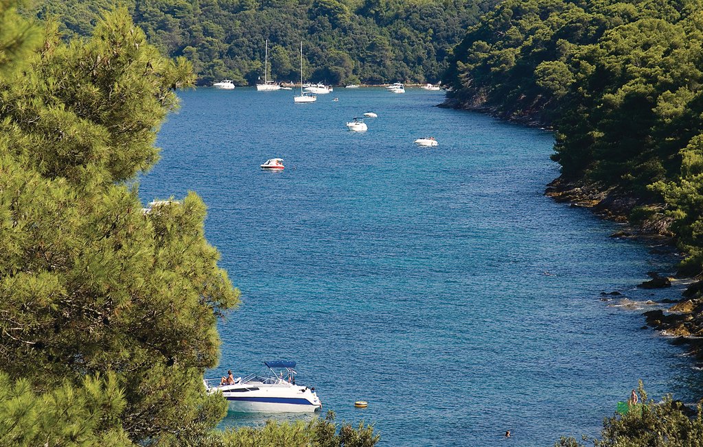 Ferienhaus - Ugljan-Kukljica , Kroatien - CDU317 35