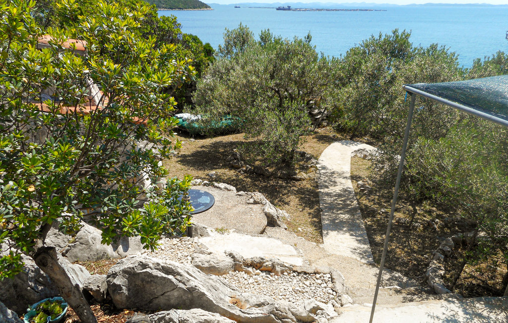 Feriehuse - Ugljan - Kali , Kroatien - CDU566 3