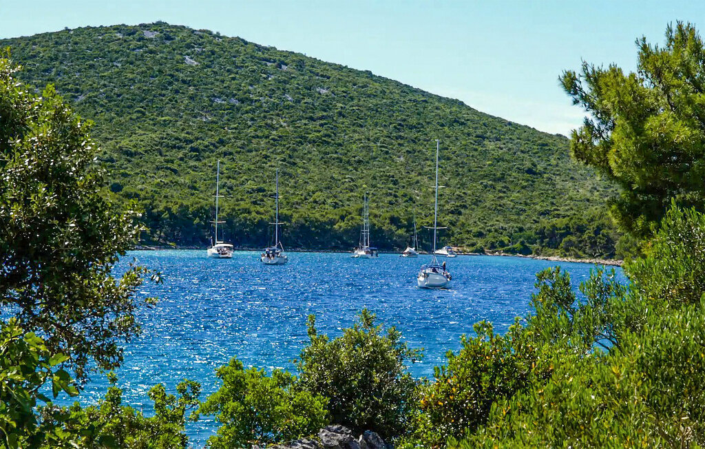 Feriehuse - Pasman - Zincena , Kroatien - CDU599 9