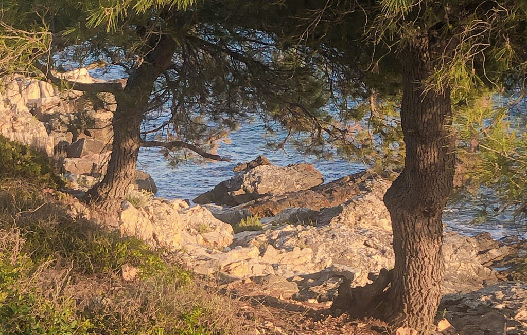 Ferienhaus - Ugljan-Muline , Kroatien - CDU357 20